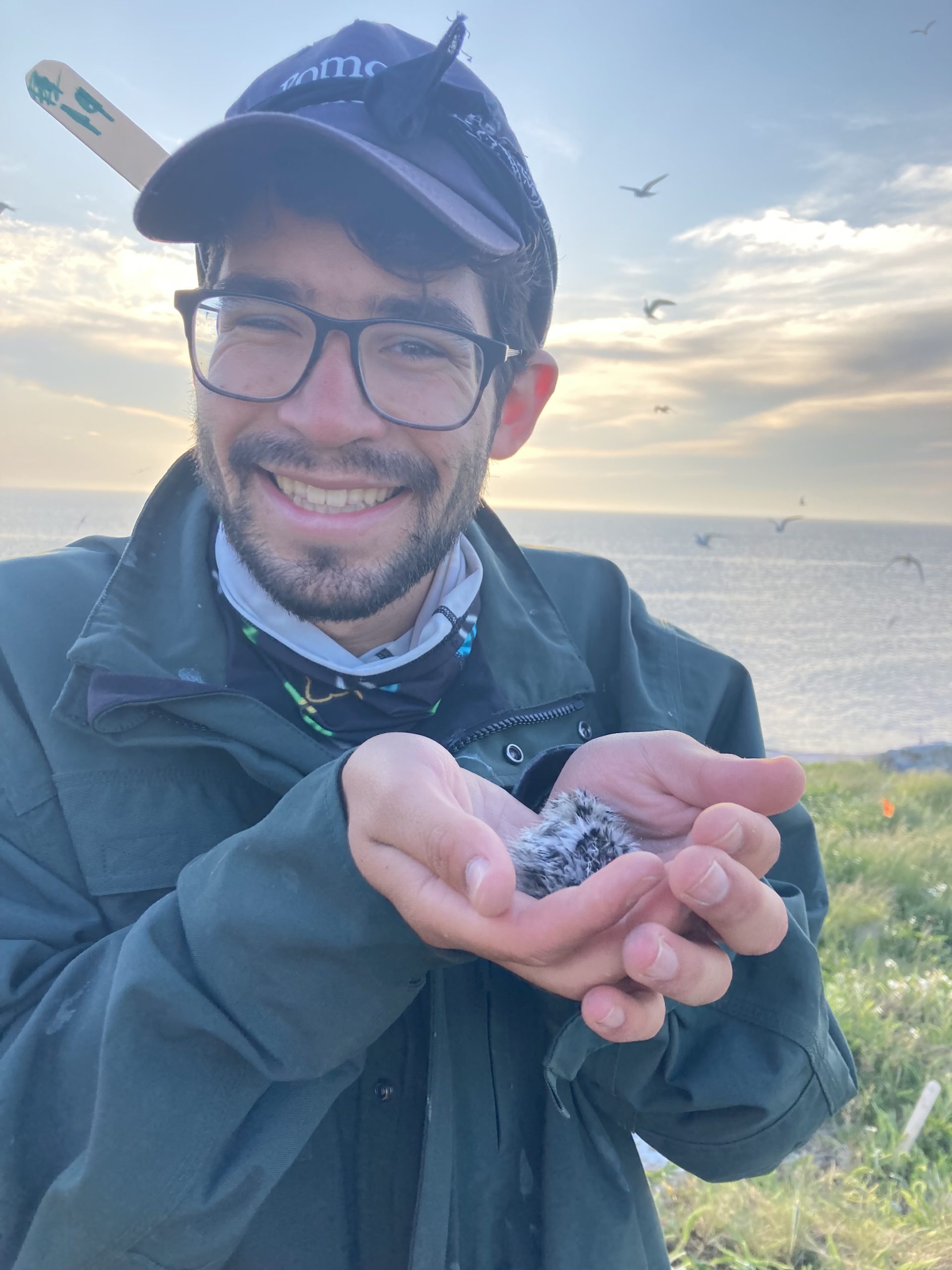 Island Update from Jacob’23